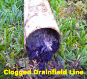 clogged-drainfield | Sun Plumbing