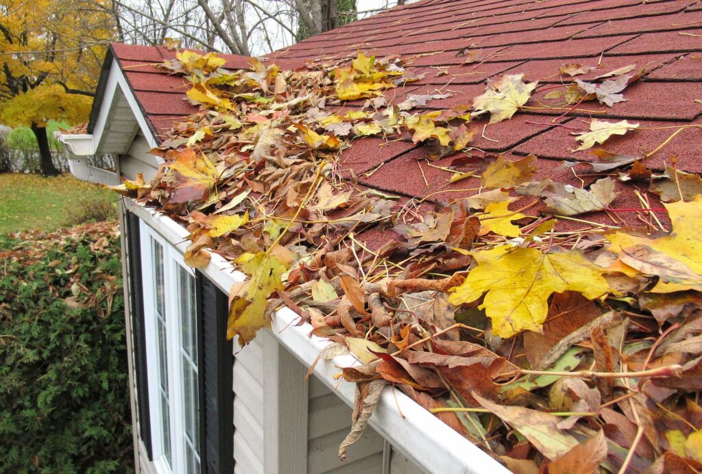 Leaves clogging gutters