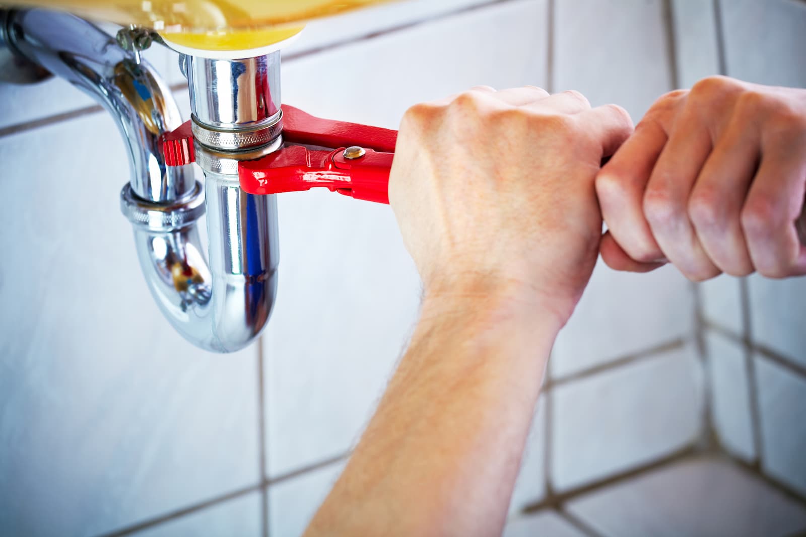 New For You at Sun Plumbing This Spring!